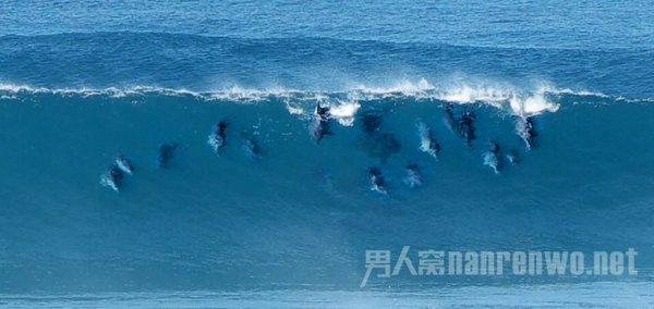 媒体：美军士兵将敌军无人机错认为己方装备未能阻止基地遇袭